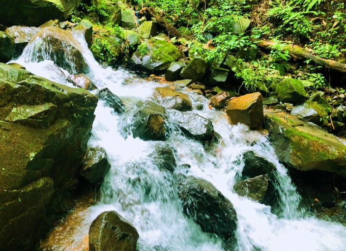 藏龙百瀑5