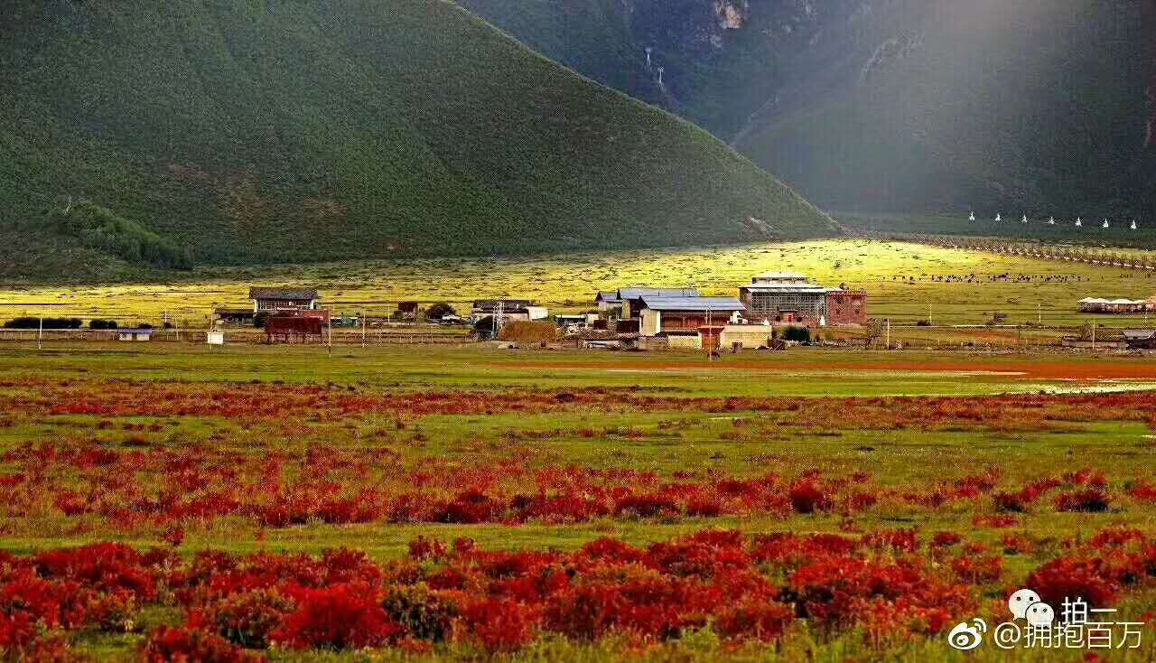 香格里拉1